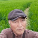 예안농장 이미지