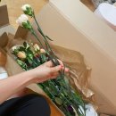 꽃 랜덤발송 두번째 🌸어니스트플라워🌼 어버이날 럭키박스 후기