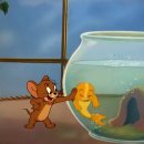 강원고등학교 이미지