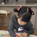 예비초등 교과연계그림책수업 1기 | 7세 엄마표 과학놀이, 초등 교과 연계 유아전집 꼬마과학뒤집기로