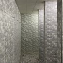 타이트짐 이미지