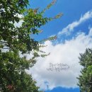 장수고기나라 이미지