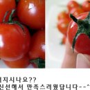 가현푸드 이미지
