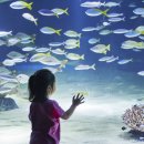 호텔스퀘어 이미지