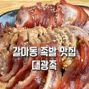 대광족 이미지