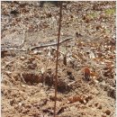 느릅농장 이미지