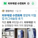 정 | 피부재생 수면회복 영양제 지엘킵 마그네슘정 후기