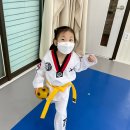 경희대호매실태권도장 이미지