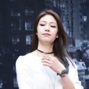 도도한 컴퍼니 이미지