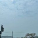 부자손짜장 이미지