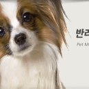 팝애니랩 이미지