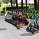 주정차-35 이미지