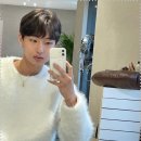 메이에르 이미지