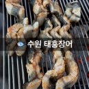 태흥장어 이미지