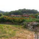 대유마을회관 이미지