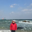 정동진역 이미지