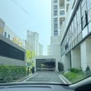 달리아플라워 | 인천 송도 꽃집 생일 꽃다발 보니달리아플라워 후기