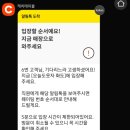 오늘도웃자화도(갓지은솥밥)