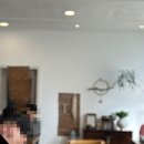 카카오 이미지