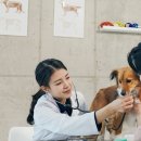 24시 서울YES동물병원 이미지