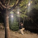 화양숲노리캠핑장 이미지