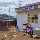 싱글몽글 | 제주 서귀포 애견호텔 맡길만한곳 강아지놀이방 싱글몽글 내돈내산 후기