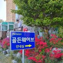 한서광고 | 태안여행 애견동반가능 골든웨이브 펜션, 좋았지만 재방문 의사 없음