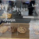 수정애견 이미지