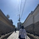 2025.05 오사카 엑스포 여행 day2 (엑스포 입장/ 관람팁/일본 네이버페이/ 관람후기)