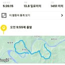 충북 영동 갈기산~자지산 (2024. 8. 15) 이미지