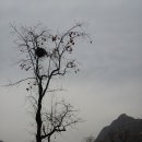 삼황 이미지