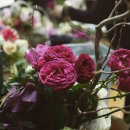 화훼장식기능사(초급) 이미지