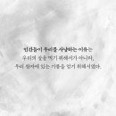 하얀고래 이미지