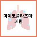 재호한의원 | 마이코플라즈마 폐렴 감염 후 기침이 계속된다면 분당 기침 한의원