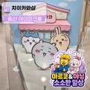 덕정짱인형샵 | 치이카와샵 아이파크몰 용산점 후기 | 주말 웨이팅 없이 입장! 먼작귀 공식 굿즈 구경
