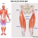 반반피트니스 이미지
