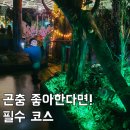 여주곤충박물관 | 경기도 실내 아이와 가볼만한곳 여주 곤충박물관 방문 후기