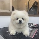 덕이미장원 이미지