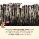 라온마리헤어
