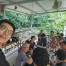 느티나무민박2 이미지