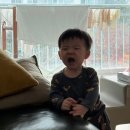 대치2-113 | ‘25) 11.17-11.23 돌영검, 공동 육아, 베(란다)꾸(미기)