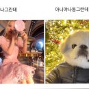 추억저장소 이미지