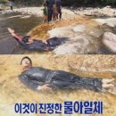 다담한옥 이미지