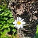 고구마부동산공인중개사사무소 이미지