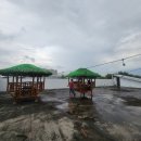 정원출장 이미지