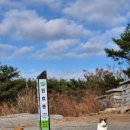 푸른솔 양평해장국 | 북한산 맛집 국밥 푸른솔양평해장국 내돈내산