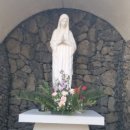 서귀포초등학교 이미지