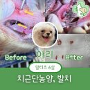 선부중앙동물의료센터 이미지