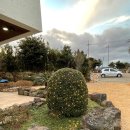 캠프해리 이미지