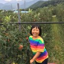 세아농장 이미지